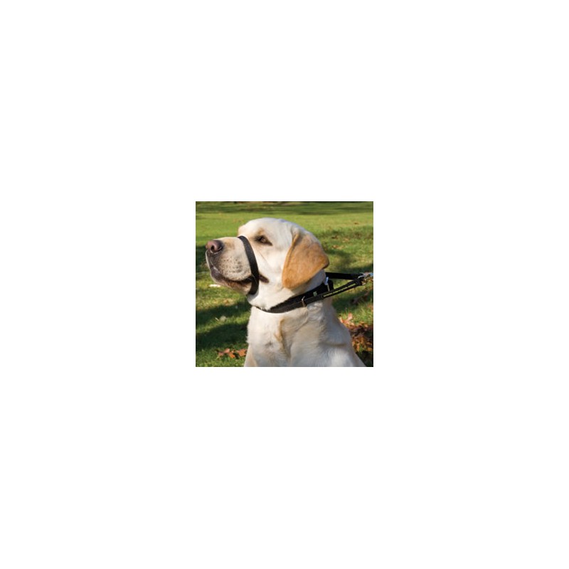 Canny Collar Black - Size 1 (23-28cm) Canny Collar Black - Size 1 (23-28cm)