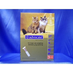 Vet Uk Advocate For Cats Vet Uk Advocate For Cats
