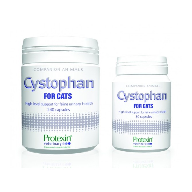 Cystophan for Cats - Pot of 240 Capsules