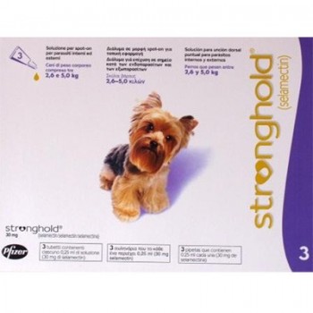 Stronghold - Toy Dog - 30mg x 3 Pipettes