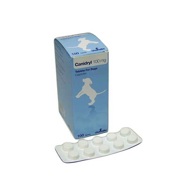 Canidryl Flavour Tablet 100mg - per Tablet