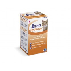 Cystease Advanced Tablets - Pack of 30 Cystease Advanced Tablets - Pack of 30