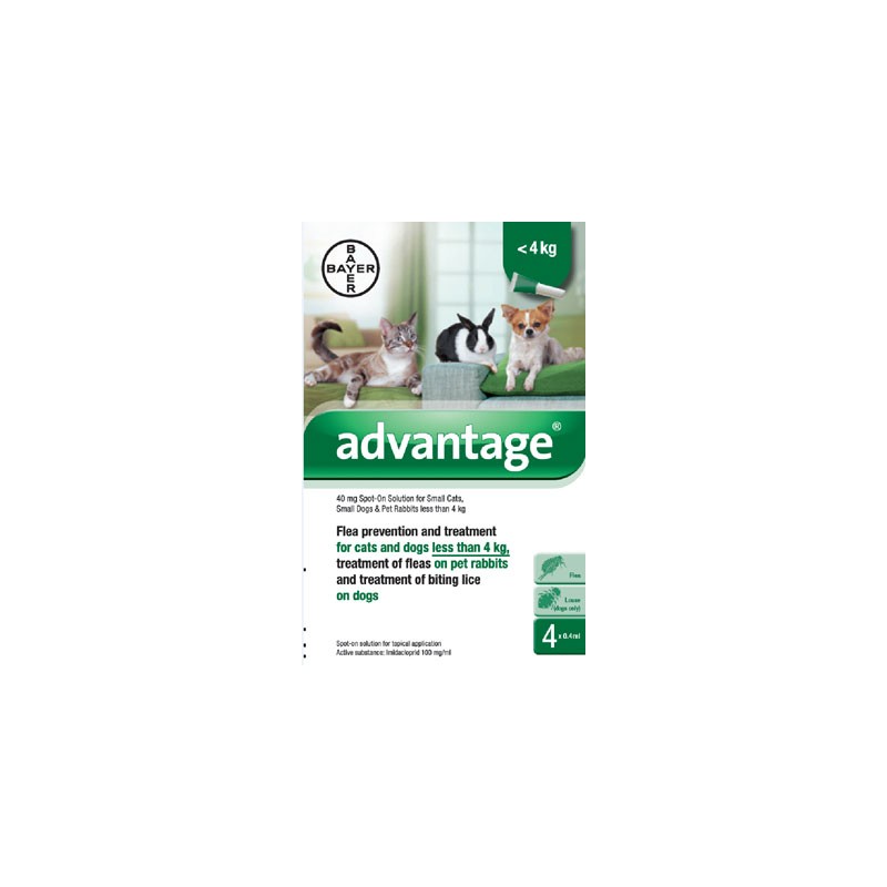 Advantage for Fleas & Lice Small Cats/Rabbits - Advantage for Cats