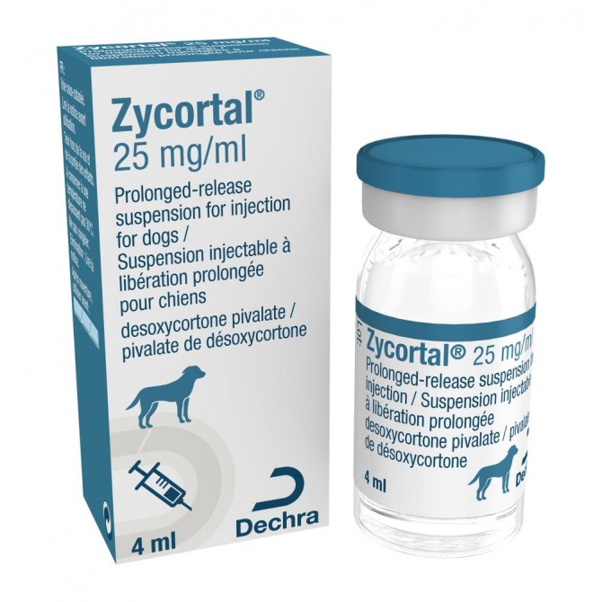 Zycortal for Dogs