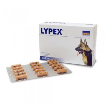 Lypex Pancreatic Enzyme Capsules - Pot of 60