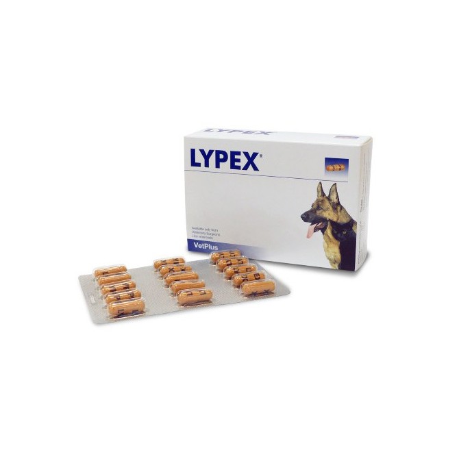 Lypex Pancreatic Enzyme Capsules - Pot of 60