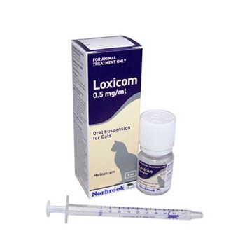 5ml Loxicom Oral Suspension for Cats