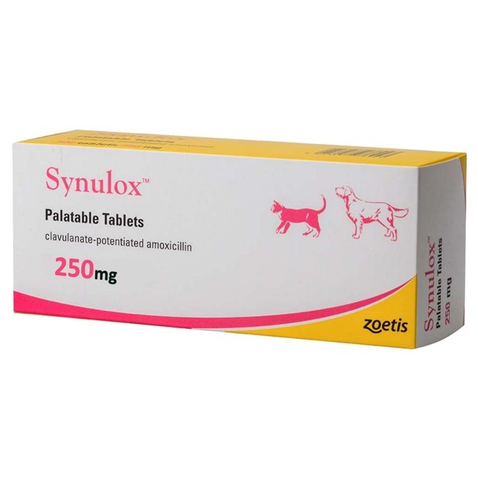 250mg Synulox Palatable Tablet - per Tablet 250mg Synulox Palatable Tablet - per Tablet