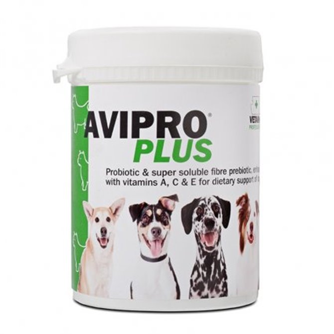 Avipro Plus with Probiotic Bacteria - 1kg