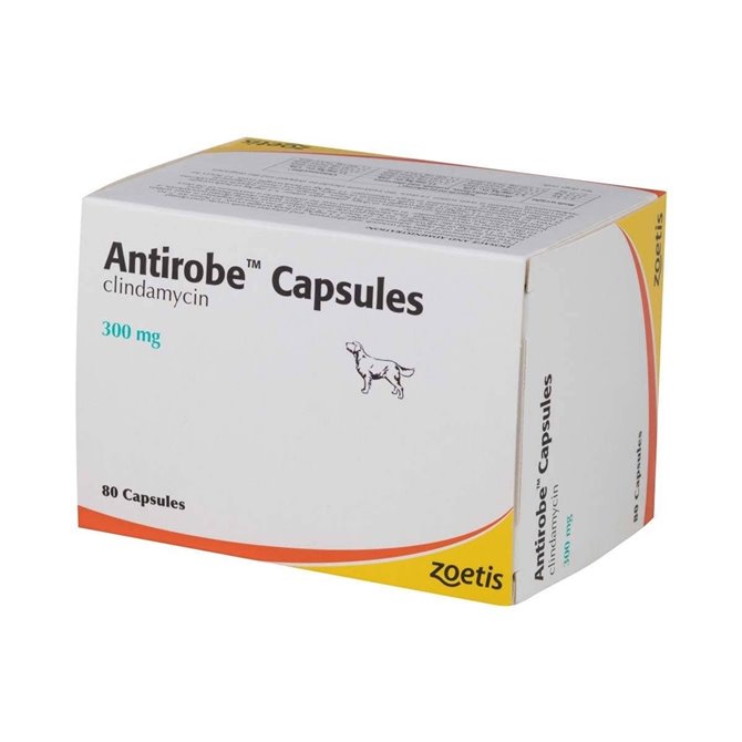 300mg Antirobe Capsule - per Capsule