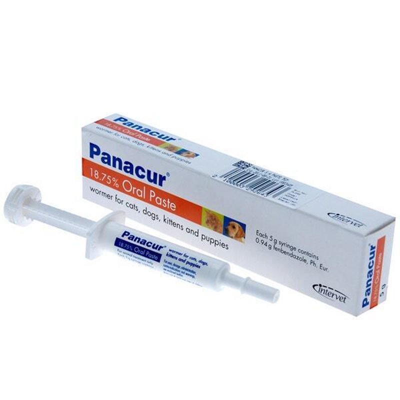 Panacur worming syrup online