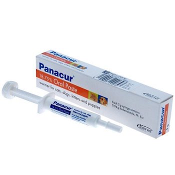 Panacur Paste for Dogs & Cats - 1 Syringe of 5g