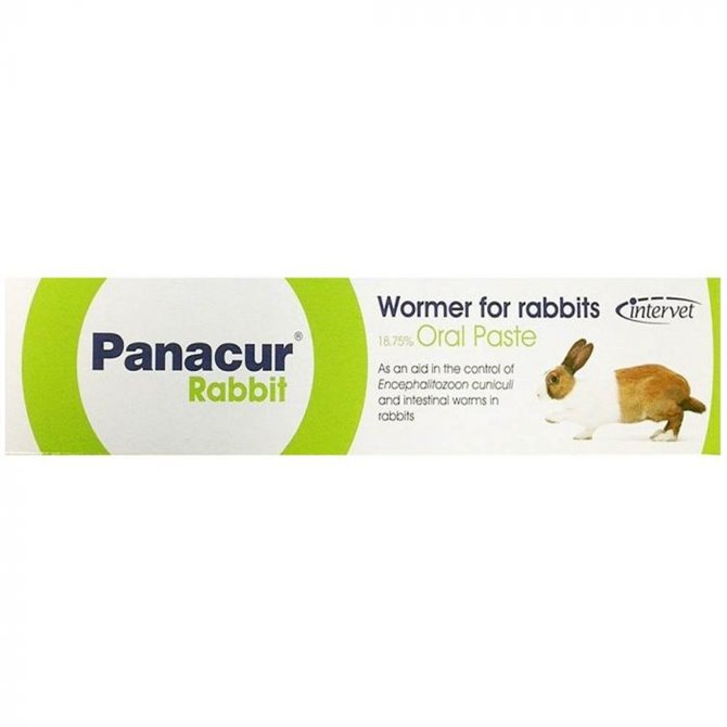 Panacur Wormer for Rabbits - 18.75% Oral Paste 5g syringe