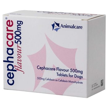 500mg Cephacare Flavour Tablet - per Tablet