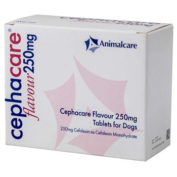 250mg Cephacare Flavour Tablet - per Tablet