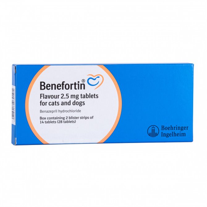 2.5mg Benefortin Flavour for Cats & Dogs - Per Tablet