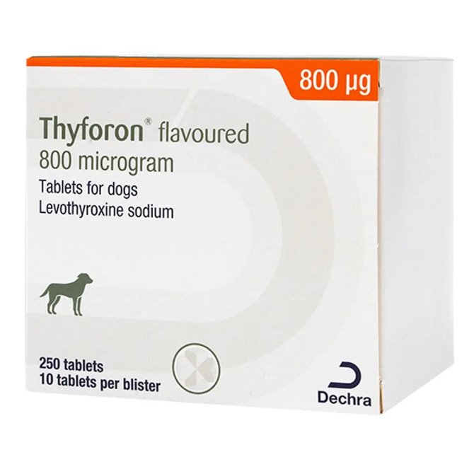Thyforon 800 (Forthyron) Tablet for Dogs - per Tablet