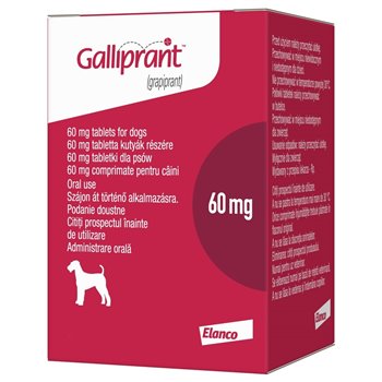 60mg Galliprant Tablets for Dogs - Per Tablet