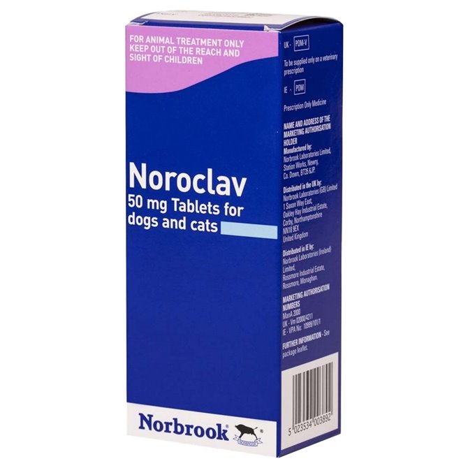 50mg Noroclav Palatable Tablet - per Tablet