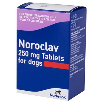 250mg Noroclav Palatable Tablet - per Tablet