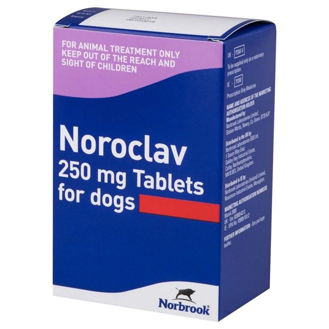250mg Noroclav Palatable Tablet - per Tablet