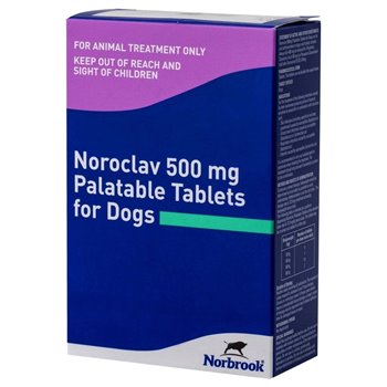 500mg Noroclav Palatable Tablet - per Tablet
