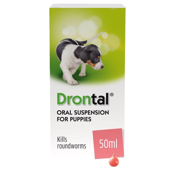 Drontal Puppy Suspension - 50ml bottle