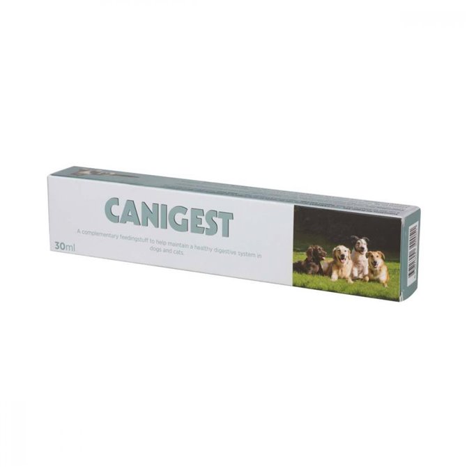 Canigest Paste - 30ml