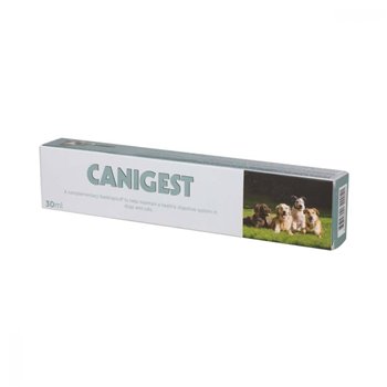 Canigest Paste - 15ml