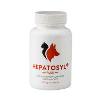 Hepatosyl Plus 200mg - 60 Capsules for Maintenance of Liver Function