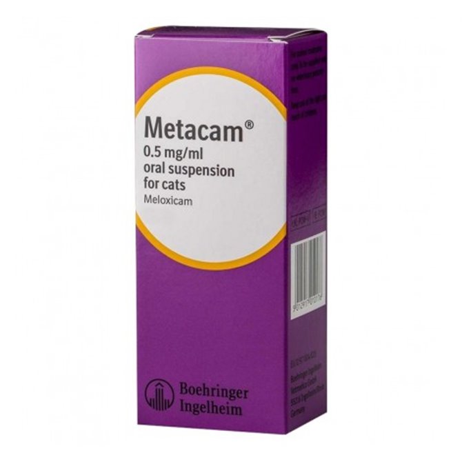 15ml Metacam Oral Suspension for Cats