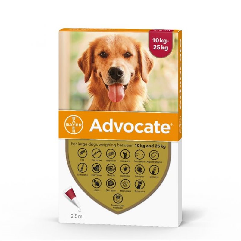 Advocate 250 shop large dog