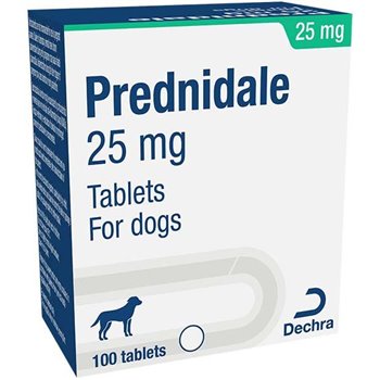 25mg Prednidale Prednisolone Tablet - per Tablet