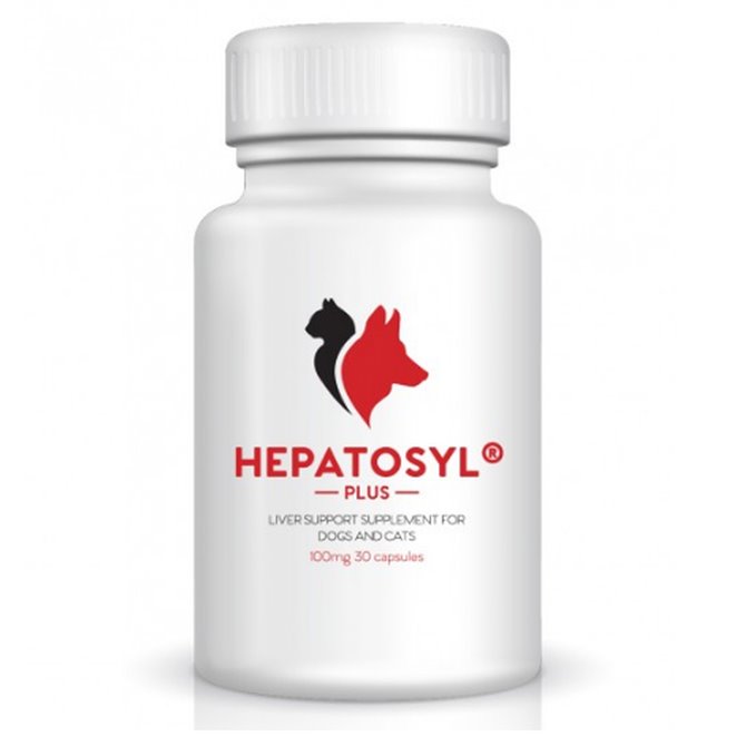 Hepatosyl Plus 100mg - 90 Capsules for Maintenance of Liver Function