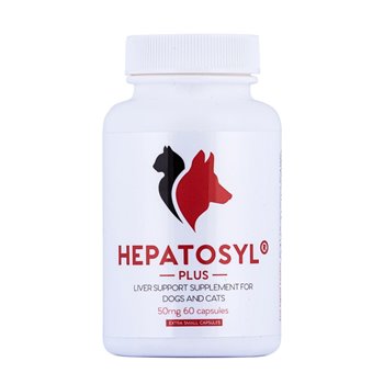 Hepatosyl Plus 50mg - 60 Capsules for Maintenance of Liver Function