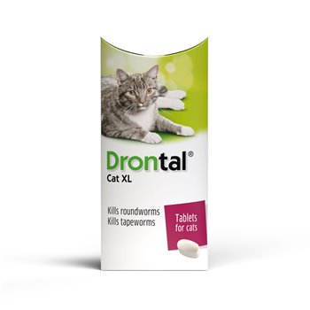 Drontal XL Cat Worming Tablet - each - 1 tablet per 6kg