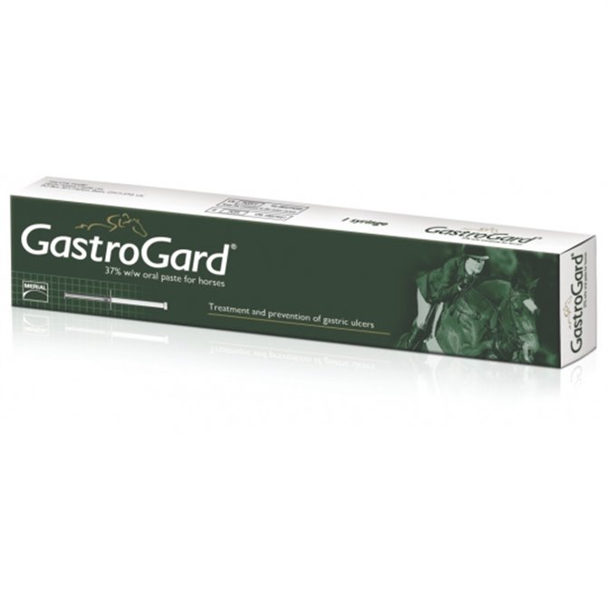Gastrogard Paste for Horses - 1 Syringe