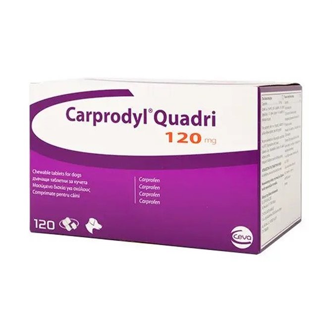 Carprodyl Quadri 120mg Tablet - per Tablet