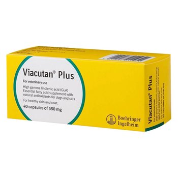 Viacutan Plus Capsules 550mg - Pack of 40
