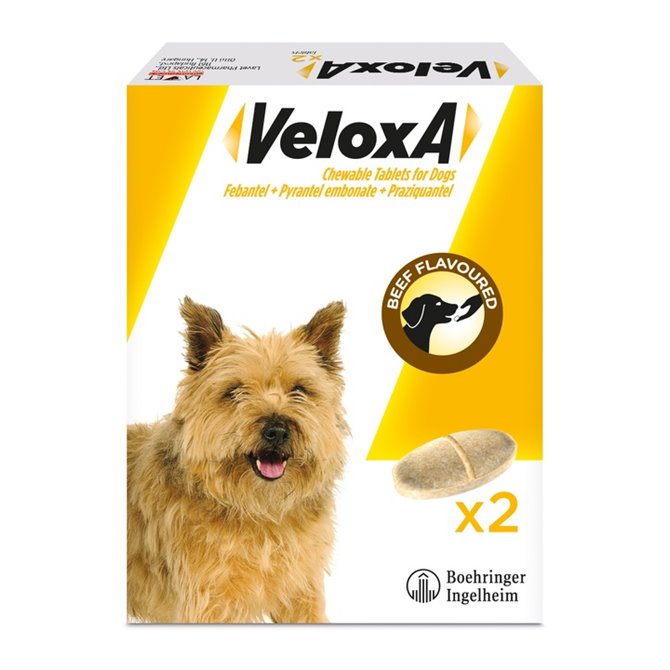 Veloxa Chewable Tablets for Dogs - Pack of 2 Veloxa Chewable Tablets for Dogs - Pack of 2