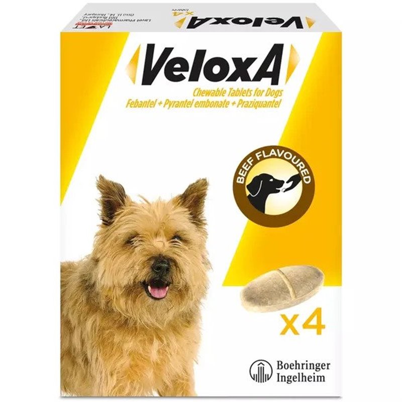 Veloxa Worming Tablets for Dogs Pack of 4 Veloxa Tablets