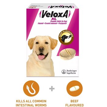 Veloxa Chewable Tablets for XL Dogs - Pack of 2