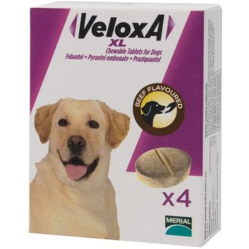 Veloxa Chewable Tablets for XL Dogs - Pack of 4