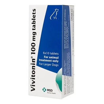 Vivitonin 100mg Tablet - each