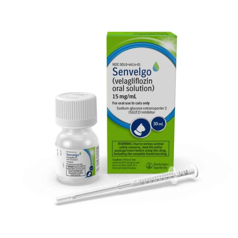Senvelgo for Cats Treat feline diabetes with Senvelgo Fast delivery