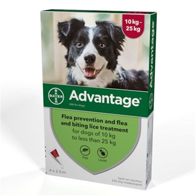 Advantage 250 for Large Dogs 10-25kg