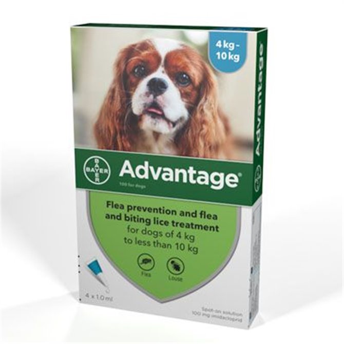 Advantage 100 for Medium Dogs 4-10kg