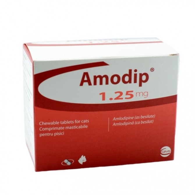 1.25mg Amodip Tablet for Cats - per Tablet