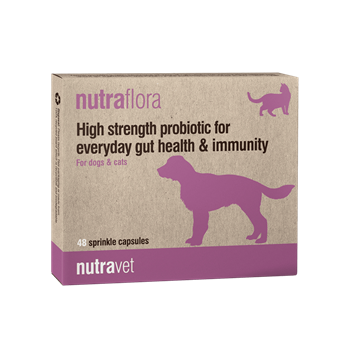 Nutravet Nutraflora for Dogs & Cats - Pack of 48