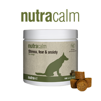 Nutravet Nutracalm Chews for Dogs - Pack of 100